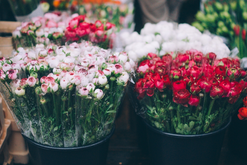 fleuriste-LA TOUR-min_farmers-market-1209712